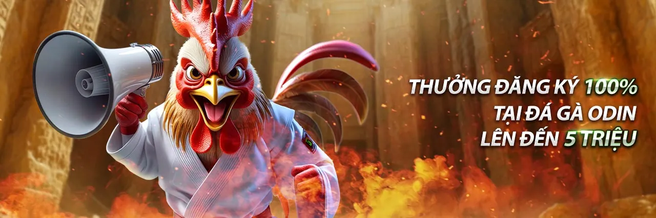 Ứng dụng thomo trực tiếp hôm nay trên điện thoại