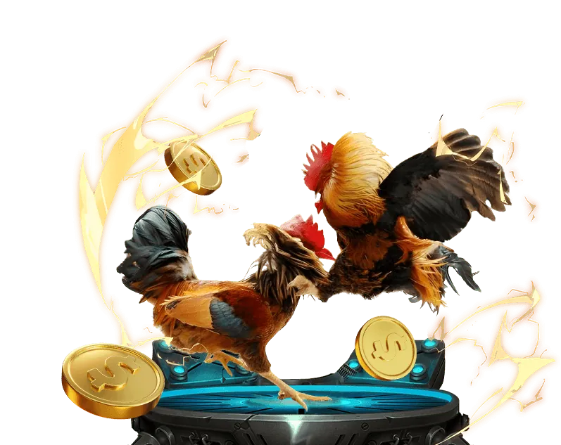 Hình ảnh sàn đấu đá gà Thomo sôi động với khán giả, thể hiện môi trường thi đấu và không khí trận đấu.